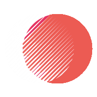My Portfolio